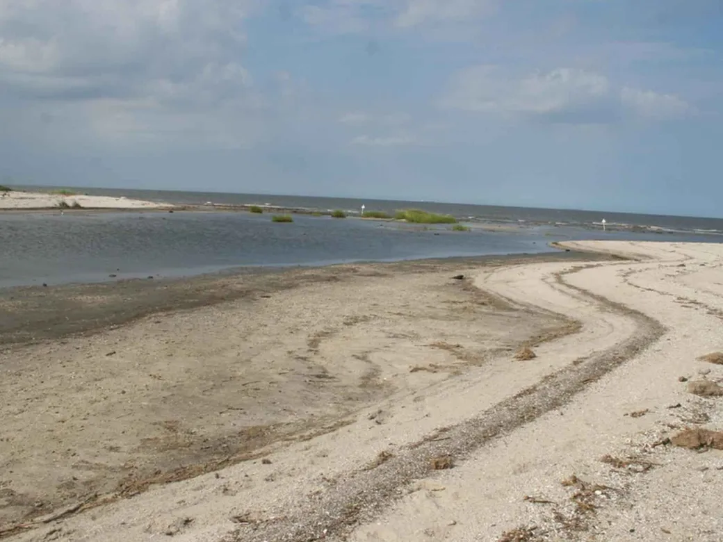 Beach at Prime Hook National Wildlife Refuge in Delaware