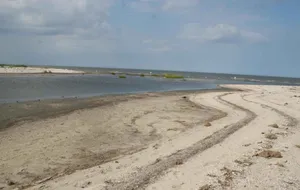 Beach at Prime Hook National Wildlife Refuge in Delaware