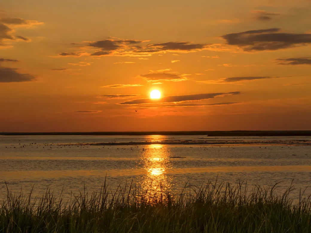 Sunrise over salt marsh at Bombay Hook in Delaware